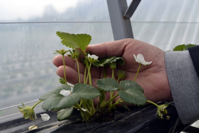Islah edilen çöplük üretime ve istihdama katkı sağlıyor